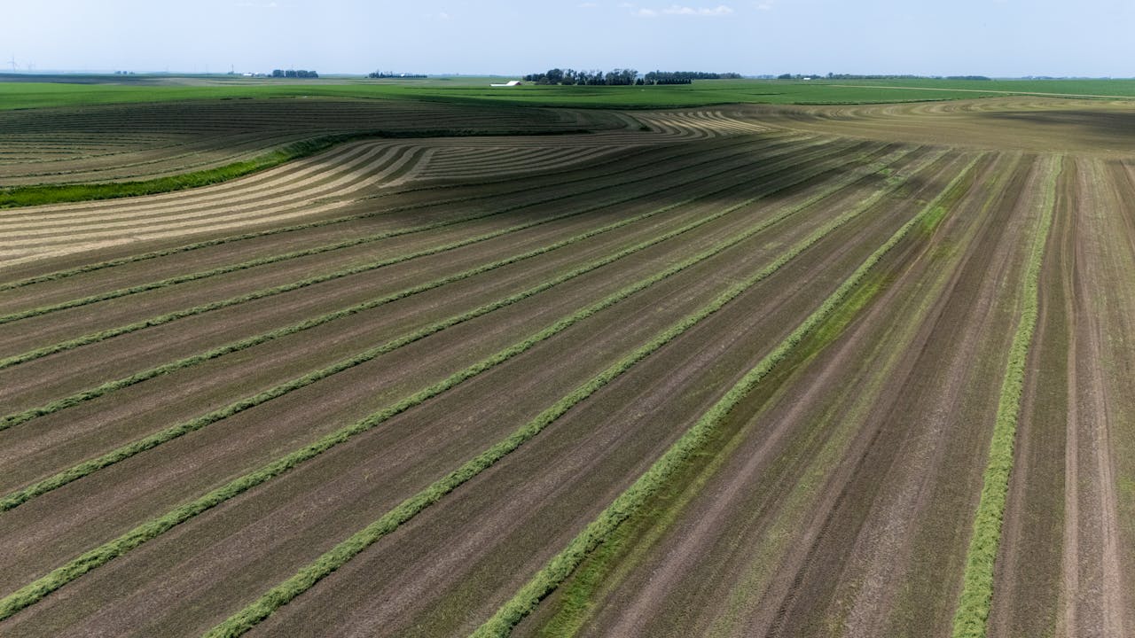 Wide aerial view of a harvested field with neat rows, capturing the essence of summer agriculture.